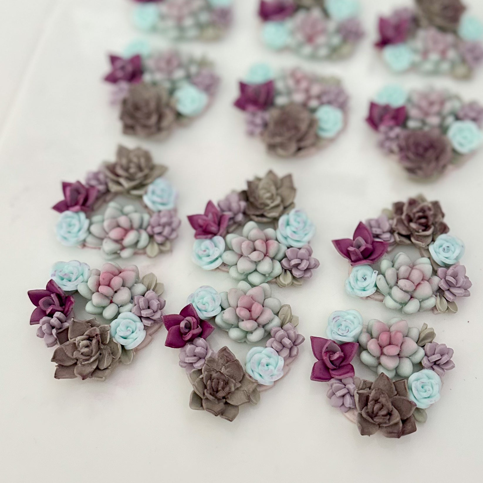 Succulents Course